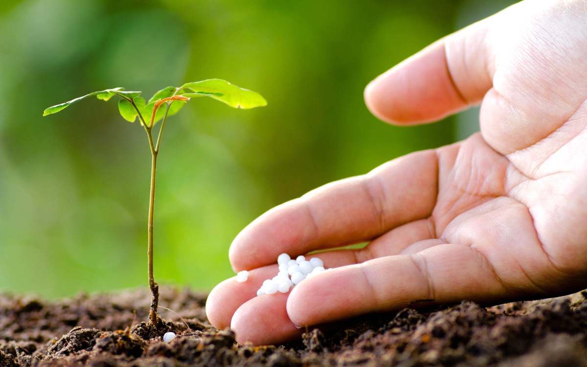 主日证道 | 他是生命的主（朱晨星教士）