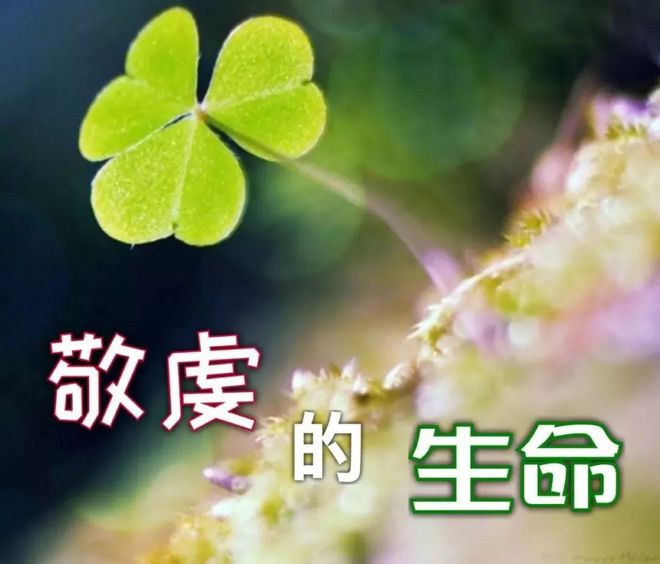 操练灵性，愈显主荣——浅谈依纳爵罗耀拉的《神操》及对今天中国基督徒灵修生活的启发