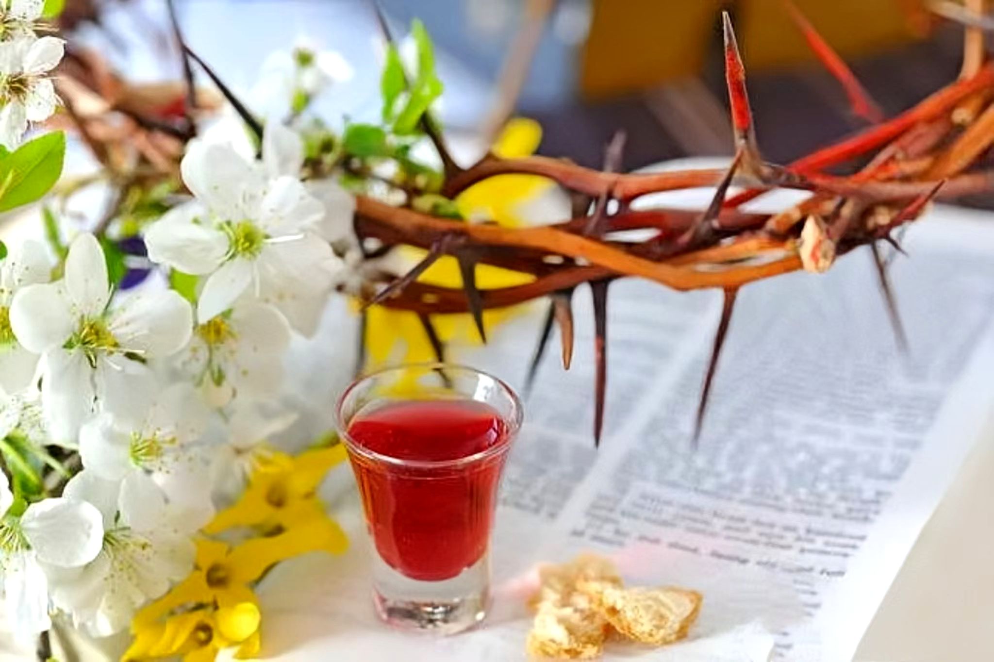 主日证道 | 圣餐礼的来历及意义（王俊牧师）