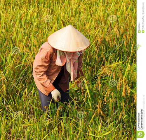 靠着主耶稣,作“三形一体”的传道人(图2)