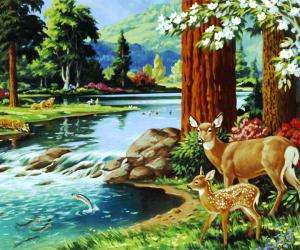 这是天父美好世界