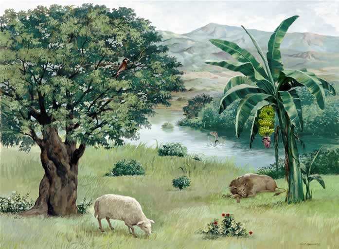 这是天父美好世界(图2)