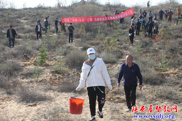 榆林教会积极参加春季义务植树活动(图2)